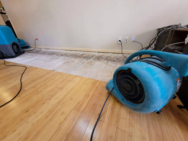 Professional Water Extraction technician working in Liberty, UT